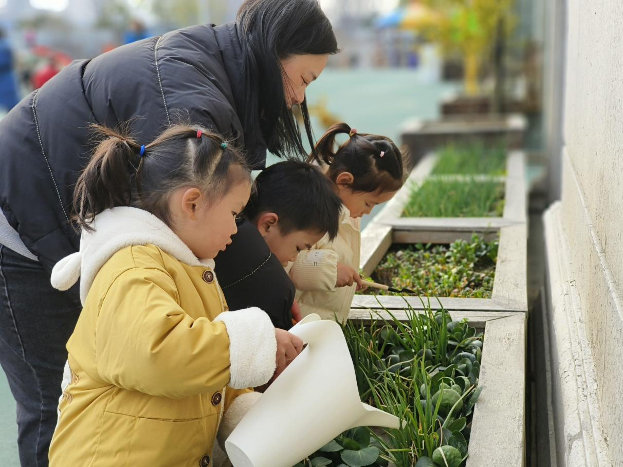 春芽幼兒園 陳榮《孕育成長》.png